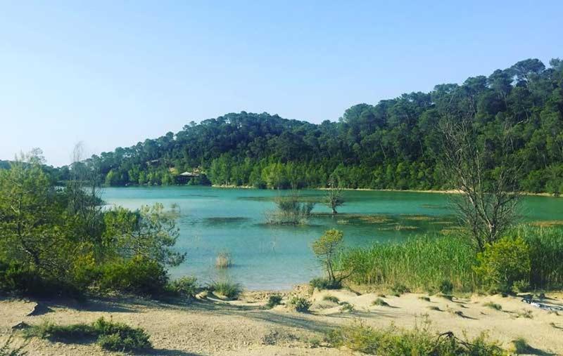 Magnifique Villa Typique Du Sud Avec Piscine Privee Et Jardin Mediterraneen Saint-Vincent-de-Barbeyrargues Buitenkant foto